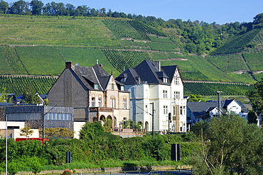 Winningen city along the Moselle, Winningen, Rhineland-Palatinate, Germany, Europe