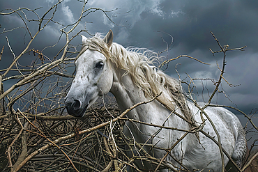 AI generated image of a Portrait of a white horse in a thicket