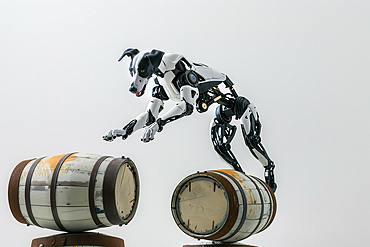 AI generated image of a Dog robot jumping over barrels in front of a white background