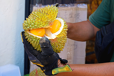 Jackfruit or Nangka (Artocarpus heterophyllus), Chinatown Shopping Street, Malacca, Malaysia