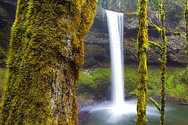 South Falls, Silver Falls State Park, Oregon, United States of America, North America