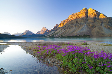 Bow Lake at sunrise, Banff National Park, UNESCO World Heritage Site, Alberta, Rocky Mountains, Canada, North America