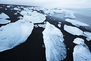 Icebergs on the beach at Jokulsarlon, Iceland, Polar Regions