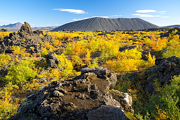 Hverfell Crater rising out of the Dimmuborgir Lava Field, Myvatn Region, Iceland, Polar Regions