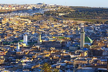 Elevated view across the Old Medina of Fes, UNESCO World Heritage Site, Fez, Morocco, North Africa, Africa