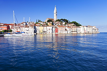 Old town and the cathedral of St. Euphemia, Rovinj, Istria, Croatia, Adriatic, Europe 