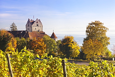 Old Castle in autumn, Meersburg, Lake Constance (Bodensee), Baden Wurttemberg, Germany, Europe 