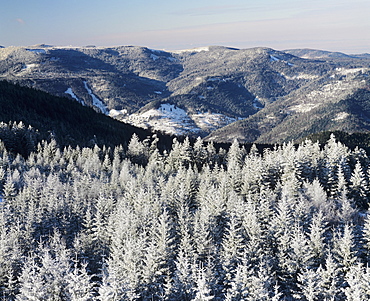 View from Hohlohturm Tower over Northern Black Forest, Nature Reserve, Kaltenbronn, Black Forest, Baden Wurttemberg, Germany, Europe