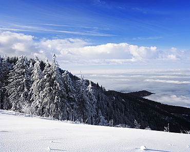 View from Kandel Mountain, Black Forest, Baden Wurttemberg, Germany, Europe