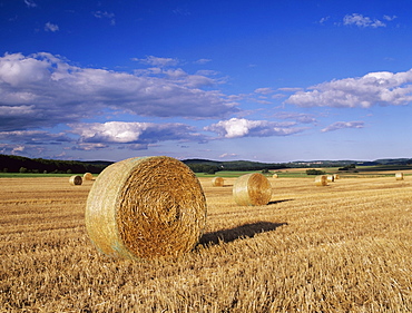 Straw bales, Swabian Alb, Baden Wurttemberg, Germany, Europe