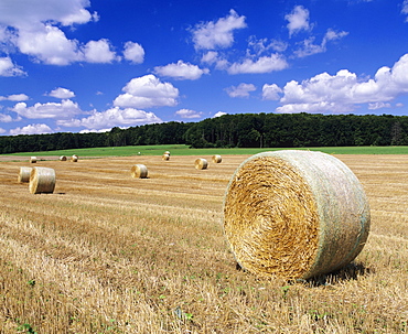 Straw bales, Swabian Alb, Baden Wurttemberg, Germany, Europe