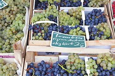 Blue and white wine grapes at a market stall, weekly market, market place, Esslingen, Baden Wurttemberg, Germany, Europe