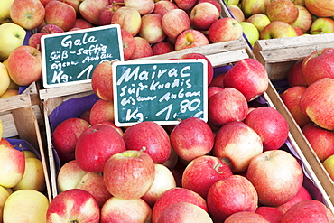 Apples at a market stall, weekly market, market place, Esslingen, Baden Wurttemberg, Germany, Europe