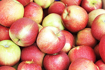 Apples at a market stall, weekly market, market place, Esslingen, Baden Wurttemberg, Germany, Europecurves adjustments for more contrast