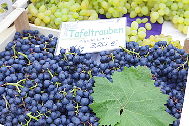 Blue and white wine grapes at a market stall, weekly market, market place, Esslingen, Baden Wurttemberg, Germany, Europe