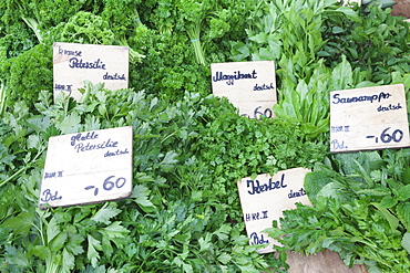 Fresh herbs at a market stall, weekly market, market place, Esslingen, Baden Wurttemberg, Germany, Europe