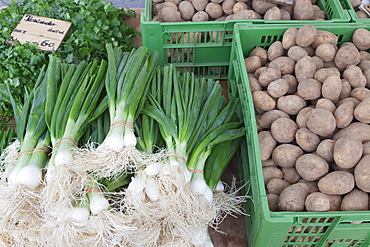 Onions, potatoes and coriander at a market stall, weekly market, market place, Esslingen, Baden Wurttemberg, Germany, Europe