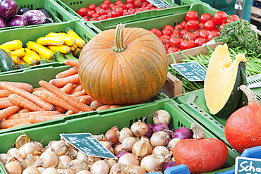 Pumpkin, onions, zucchini (courgettes), carrots, tomatoes and beans at a market stall, weekly market, market place, Esslingen, Baden Wurttemberg, Germany, Europe