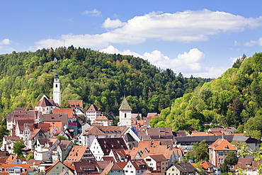 Old town with Stiftskirche Heilig Kreuz collegiate church, Horb am Neckar, Black Forest, Baden Wurttemberg, Germany, Europe