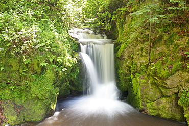 Geroldsau Waterfalll, Geroldsau part of the city of Baden Baden, Black Forest, Baden Wurttemberg, Germany, Europe