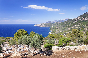 Cala de Deia, North Coast, Sierra de Tramuntana, UNESCO  World Heritage, Majorca (Mallorca), Balearic Islands, Spain, Mediterranean, Europe