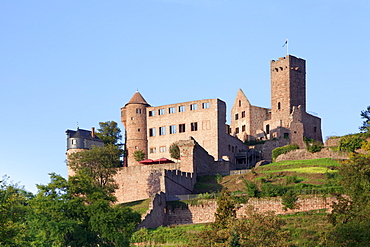 Wertheim Castle, Wertheim, Main Tauber District, Baden-Wurttemberg, Germany, Europe