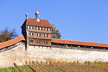 Castle with vineyards in autumn, Esslingen, Baden Wurttemberg, Germany, Europe