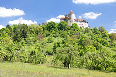 Burg Reichenberg Castle, Oppenweiler, Swabian Forest, Rems Murr District, Baden Wurttemberg, Germany, Europe