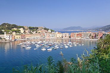 Baia del Silenzio Bay, old town, Sestri Levante, Province Genoa, Riveria di Levante, Liguria, Italy, Europe