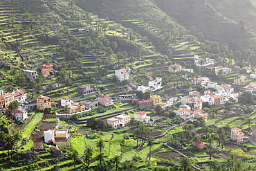 Terraces, Valle Gran Rey, La Gomera, Canary Islands, Spain, Europe