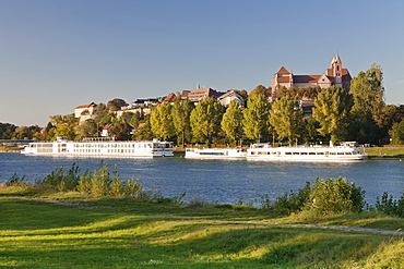 View over the Rhine River to Muensterberg Hill with Minster St. Stephan, Breisach am Rhein, Kaiserstuhl, Breisgau, Black Forest, Baden Wurttemberg, Germany, Europe