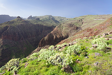 Barranco de Vera Valley, Roque del Sombrero Mountain, near San Sebastian, La Gomera, Canary Islands, Spain, Europe