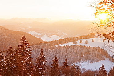 Winter landscape at sunrise, Belchen Mountain, Black Forest, Baden-Wurttemberg, Germany, Europe