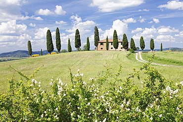 Farm house with cypress trees, near Pienza, Val d'Orcia (Orcia Valley), UNESCO World Heritage Site, Siena Province, Tuscany, Italy, Europe