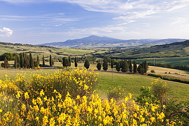 Tuscan landscape  with Monte Amiata, near Pienza, Val d'Orcia (Orcia Valley), UNESCO World Heritage Site, Siena Province, Tuscany, Italy, Europe