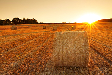 Hay bales at sunset, Swabian Alps, Baden-Wurttemberg, Germany, Europe