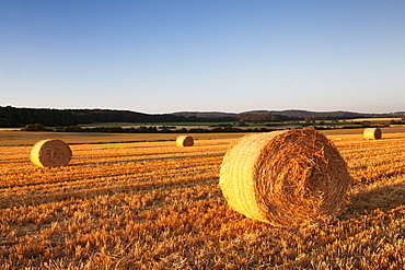 Hay bales at sunset, Swabian Alps, Baden-Wurttemberg, Germany, Europe