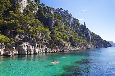 Les Calanques d'en Vau, National Park, Cassis, Provence, Provence-Alpes-Cote d'Azur, Southern France, France, Mediterranean, Europe