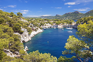 Les Calanques de Port-Miou, National Park Calanque de Port-Pin, Cassis, Provence, Provence-Alpes-Cote d'Azur, Southern France, France, Mediterranean, Europe