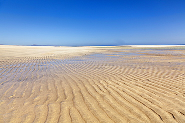 Playa de Sotavento, Risco del Paso, Fuerteventura, Canary Islands, Spain, Atlantic, Europe