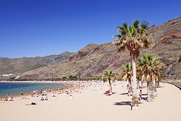 Playa de las Teresitas Beach, San Andres, Tenerife, Canary Islands, Spain, Atlantic, Europe