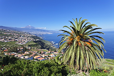 View over Orotava Valley to the north coast and Puerto de la Cruz und den Teide, Tenerife, Canary Islands, Spain, Atlantic, Europe