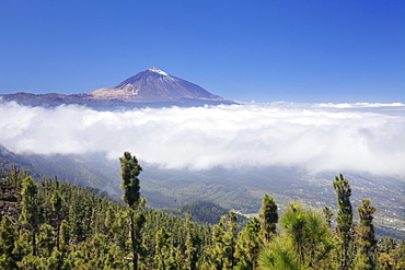 View over Orotava Valley to Pico del Teide, National Park Teide, UNESCO World Heritage Site, Tenerife, Canary Islands, Spain, Europe