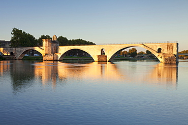 Bridge St. Benezet over Rhone River at sunrise, UNESCO World Heritage Site, Avignon, Vaucluse, Provence-Alpes-Cote d'Azur, France, Europe