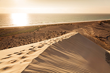 Dunes at Playa de Sotavento, Risco del Paso, Fuerteventura, Canary Islands, Spain, Atlantic, Europe