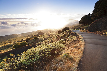 Road at the south coast at sunset, near Orchilla Volcano, UNESCO biosphere reserve, El Hierro, Canary Islands, Spai, Atlantic, Europe