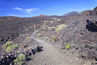 Ruta de los Volcanes hiking path, Teneguia Volcano left, San Antonio Volcano middle, Monumento Natural de los Volcanes de Teneguia, La Palma, Canary Islands, Spain, Europe