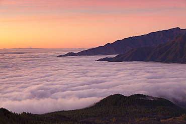 Cumbre Vieja, UNESCO Biosphere Reserve, La Palma, Canary Islands, Spain, Atlantic, Europe