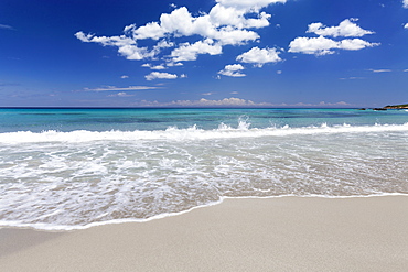 Baia dei Turchi beach, near Otranto, Lecce province, Salentine Peninsula, Puglia, Italy, Europe