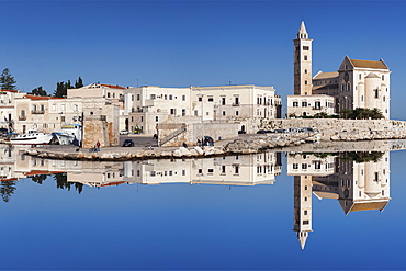 San Nicola Pellegrino cathedral, old town, Trani, Le Murge, Barletta-Andria-Trani district, Puglia, Italy, Europe